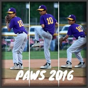 Meet your Posher, Ty